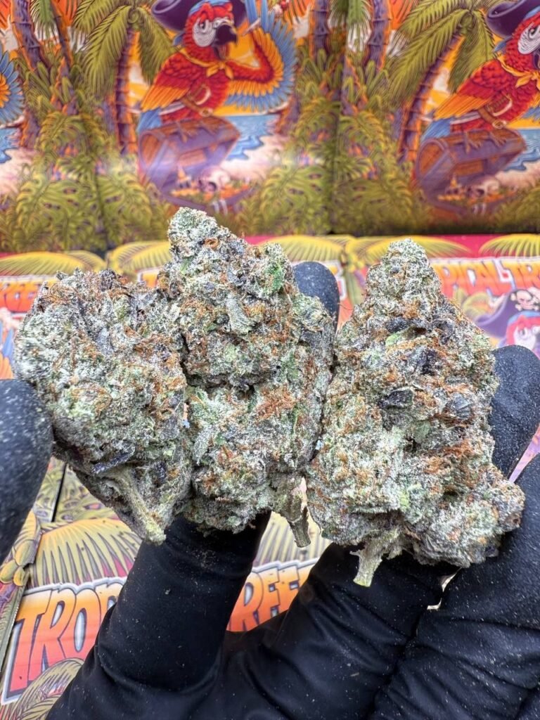 Chapo Pink🤠