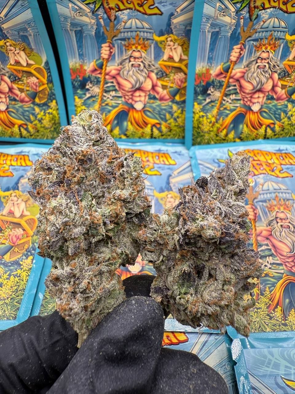 Pink Area 420👽 - Image 1