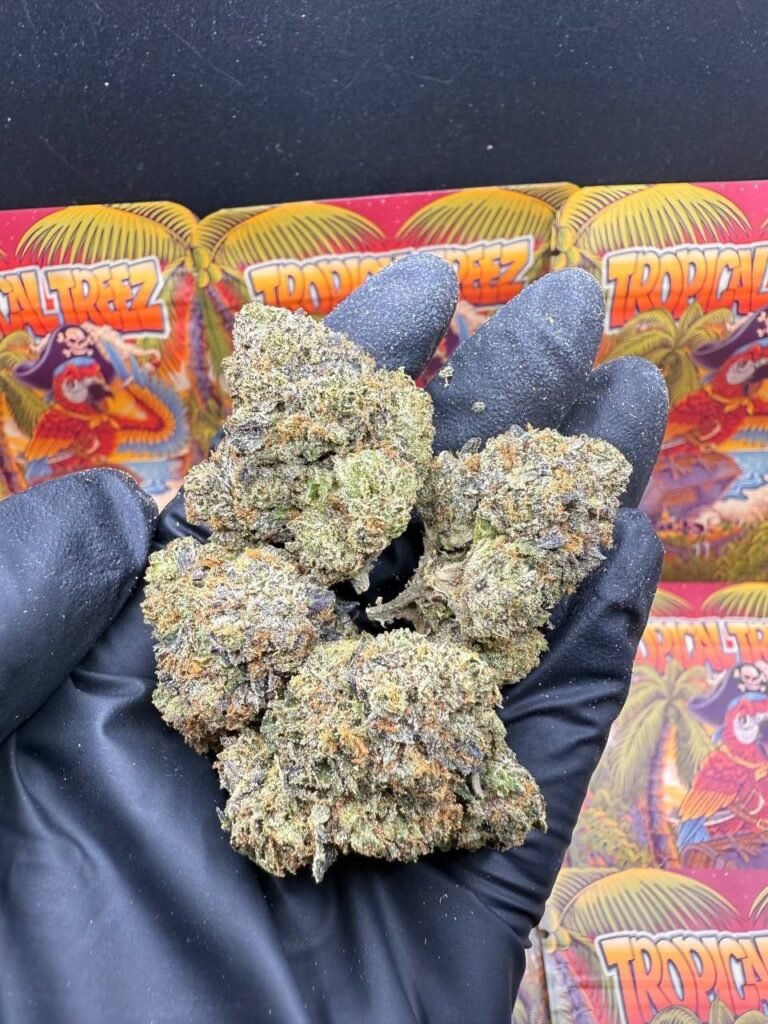 Pink Crackin Cannon💤