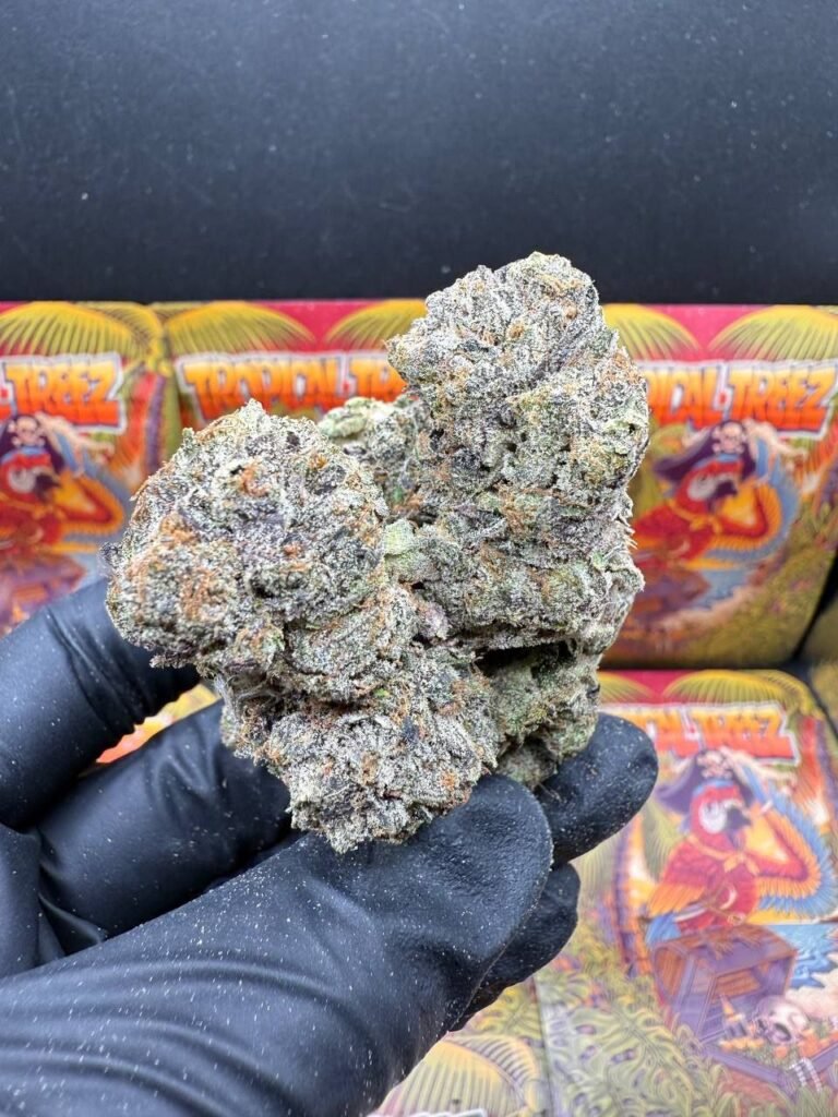 Pink Purple Punch👊
