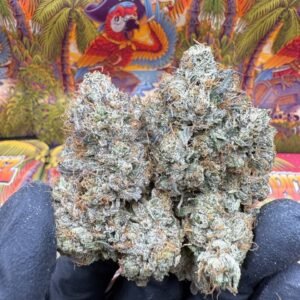 Pink Purple Urkle 💜